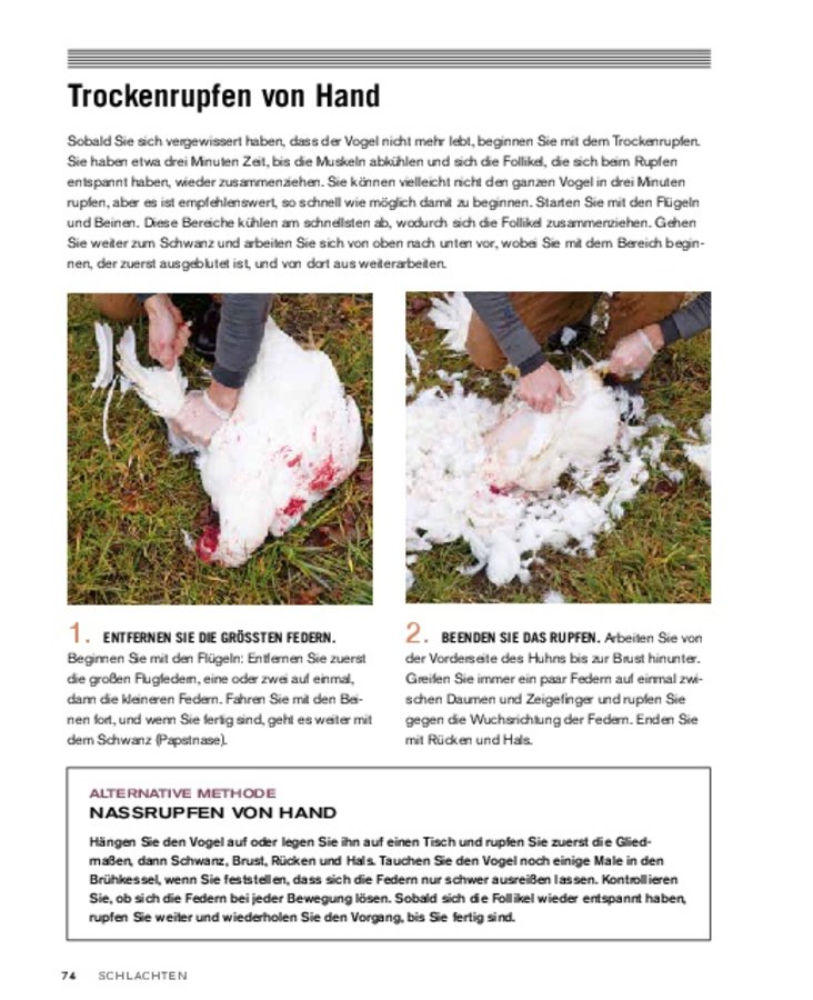 Hausschlachtung: Huhn - Schlachten - Rupfen - Zerlegen